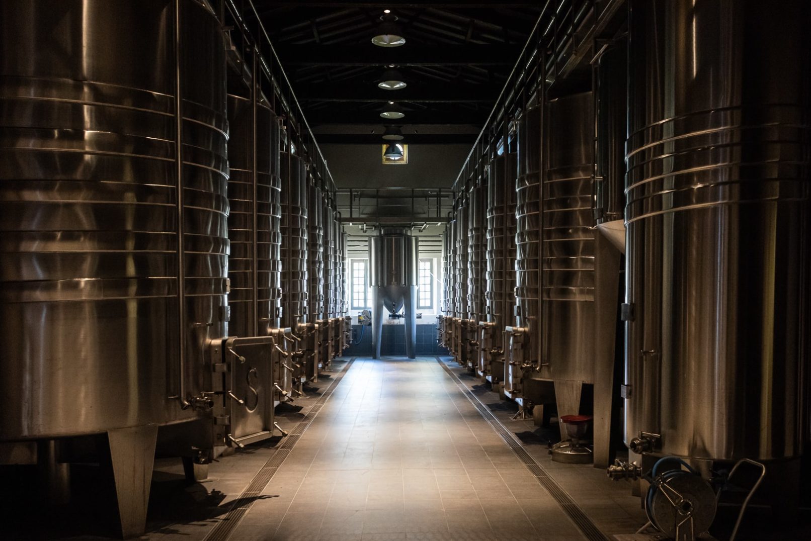 chais avec des cuves inox