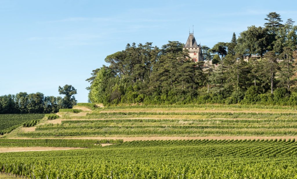 château et vignes en premier plan