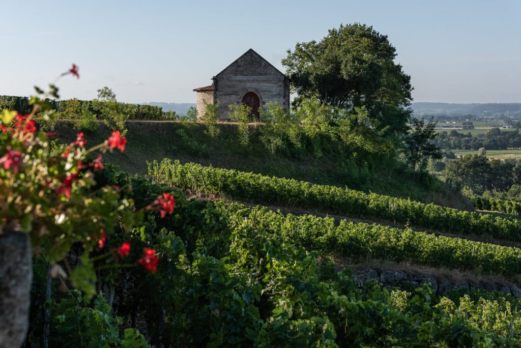 dépendance dans les vignes