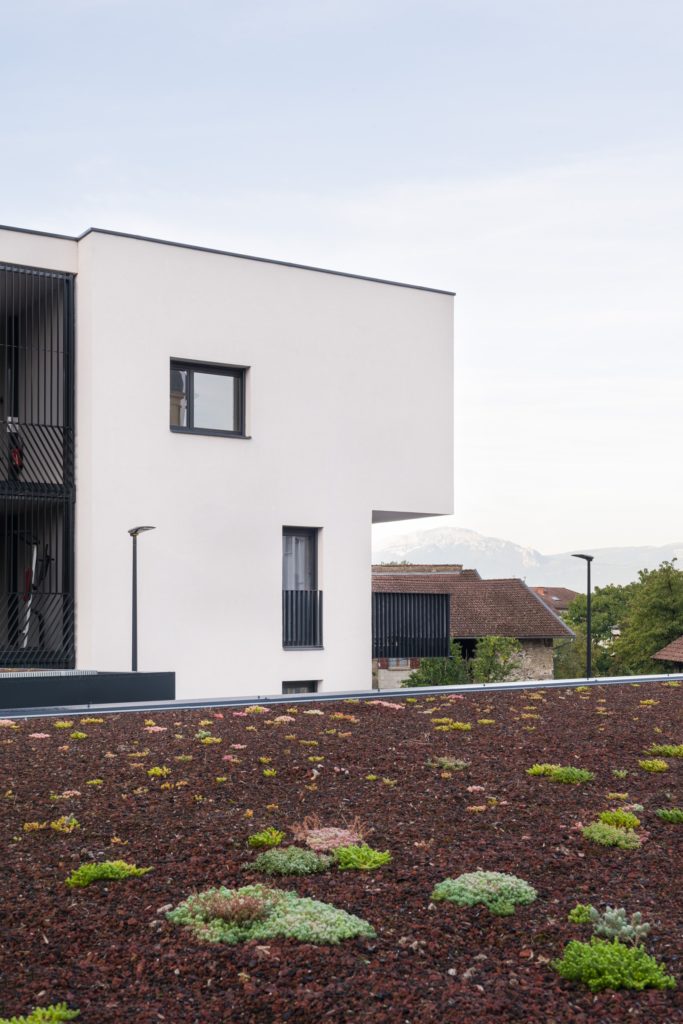 toiture végétalisée