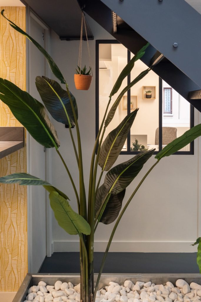 plante verte et bureau vitré
