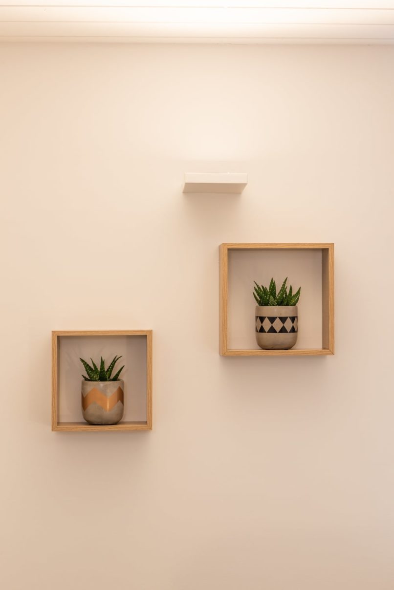 décoration murale plante