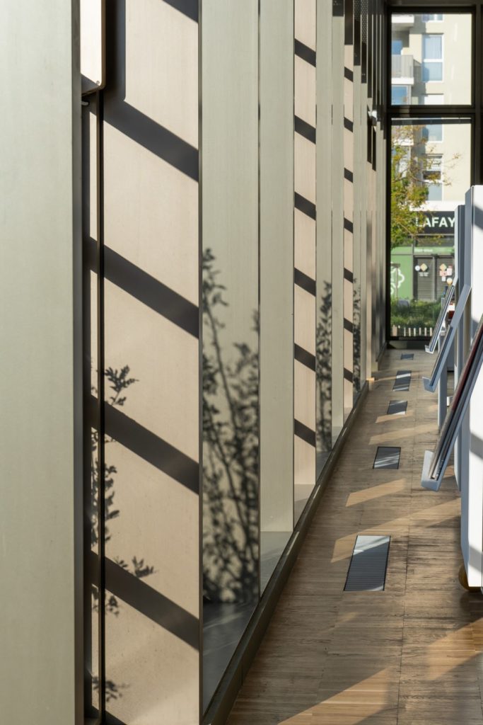 ombres végétales sur la façade