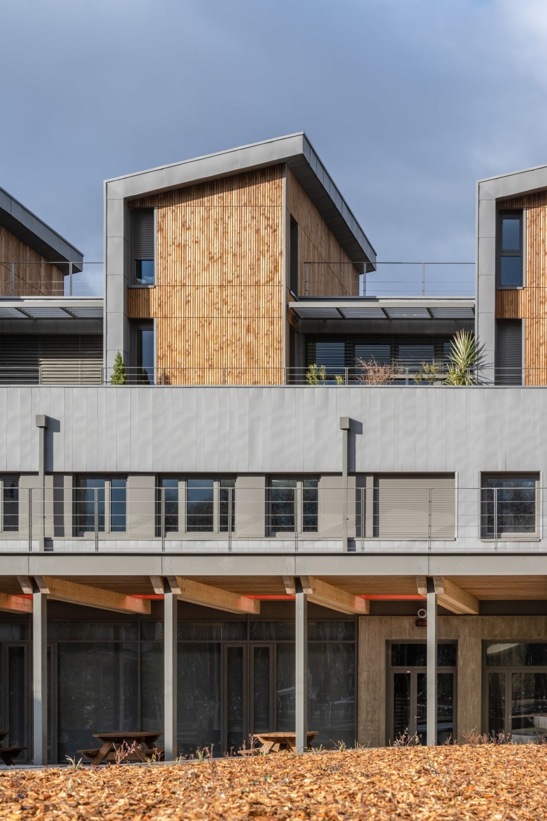 architecture bois et zinc à la lumière du soir