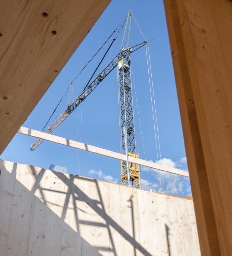 reportage suivi chantier bois