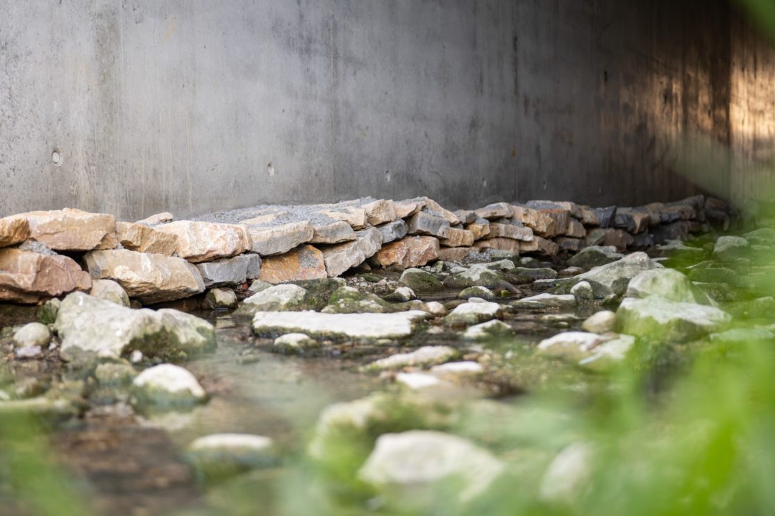 banquette pour animaux
