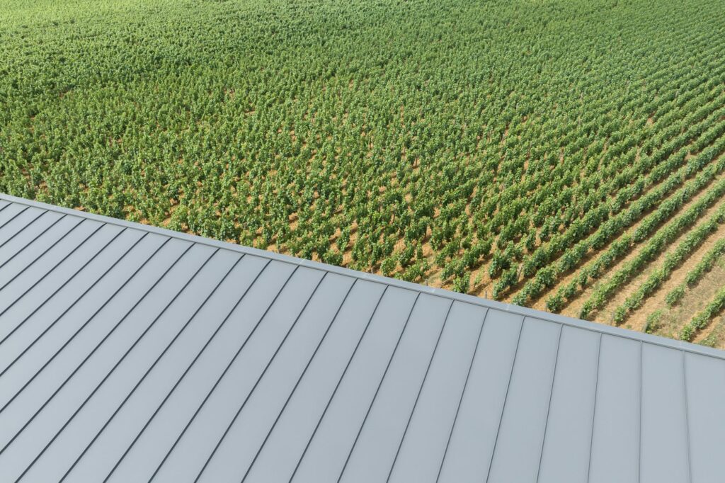 couverture d'un bâtiment et vigne au loin